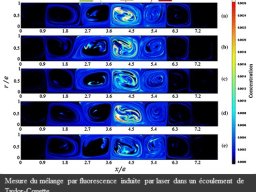 Diagnostics Moléculaires &raquo; PLIF